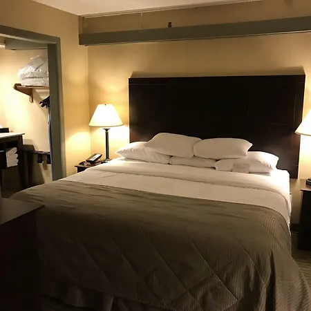 Wyndham Garden Ann Arbor-3